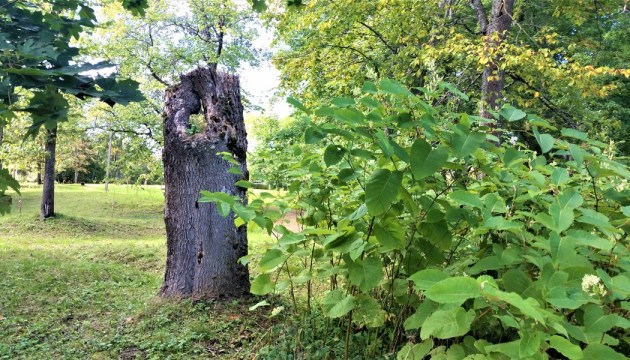 �������� � ���������� �����