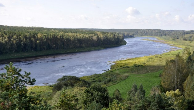 ��� ����������� �������� ������� ���������� �������� �� ���� ���������������� �������