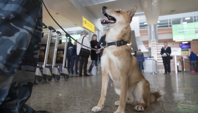 ����� ����������� �� ����� Covid-19