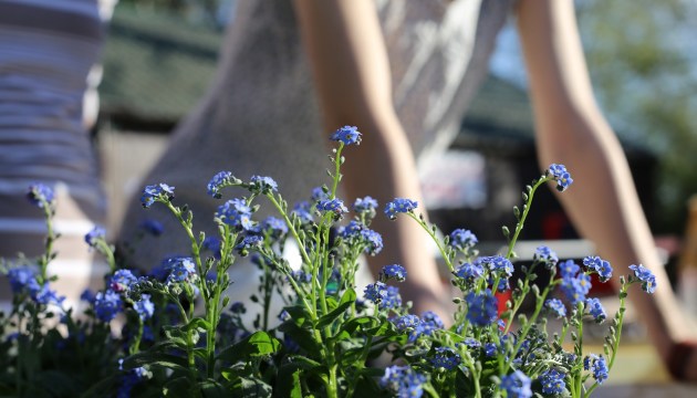 �� ������ ��������� �������� ����� 5 ���. ����������