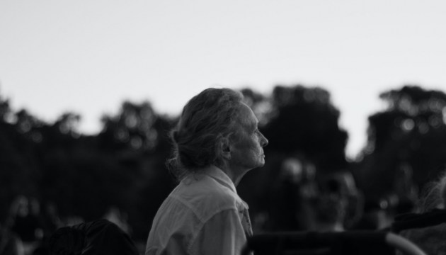 ������ �������� �������� � ������?