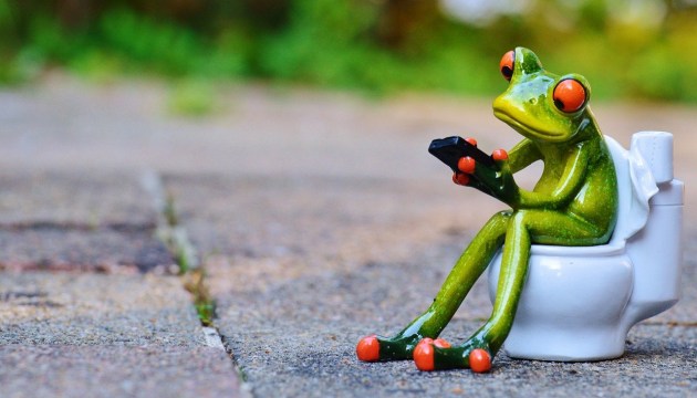 ����� ������ ����� �� ���� ������� ���