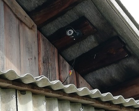 В заброшенном здании выращивали марихуану