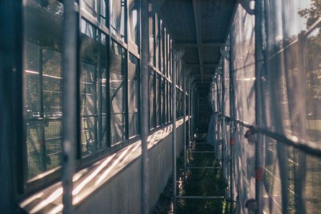 ����������� ����� ����� ����� �� ������ (+����)