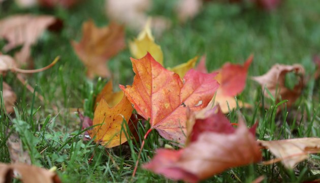 � ����������� ������� ��������� �������� �����