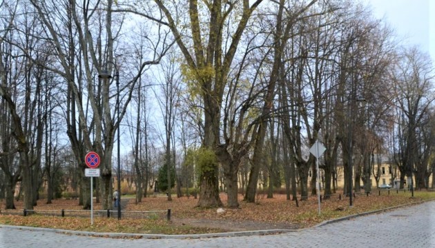 Дума хочет облагородить три парка, но денег пока нет