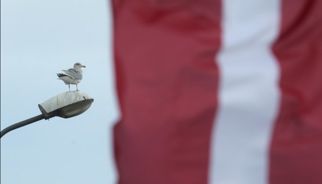 ����������� ����������� ��������������� ������ �������� (�����)