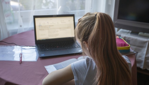 «Удаленка» теперь - не исключение из правил, а часть обычного учебного процесса. По закону