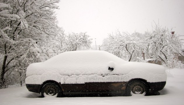 �� ���� ������ ��������� ����