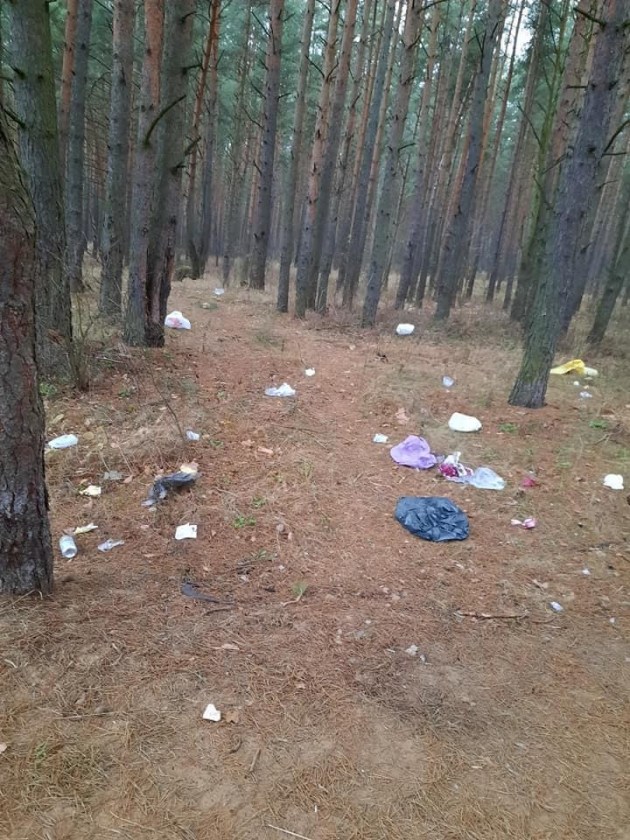 ������������ ������� (����)