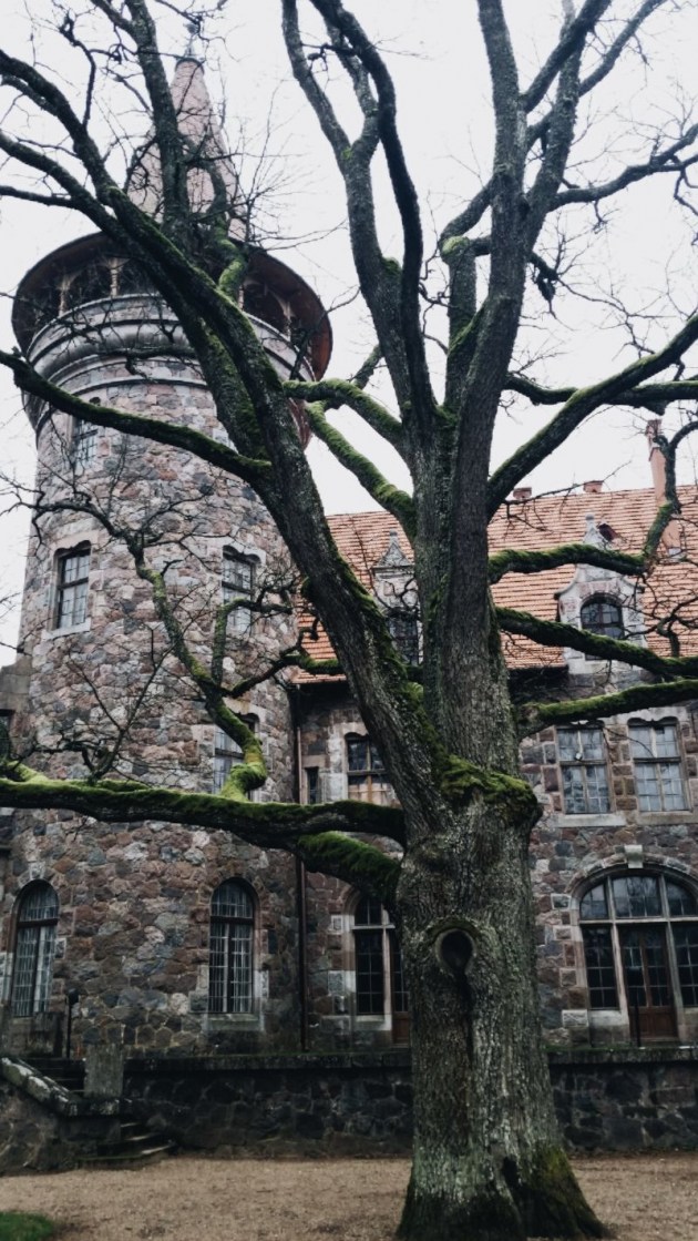 ������������ �� ������: ������ ������ � ��������