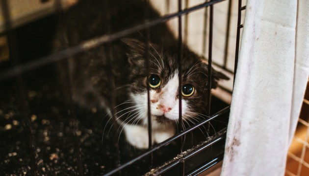 �������� ��� �����!