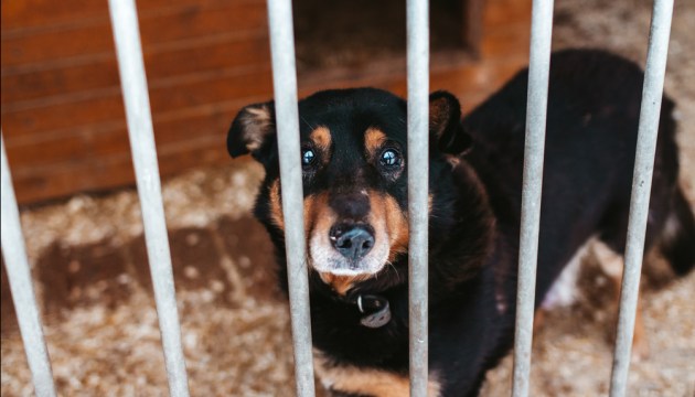 �������� ��� �����!