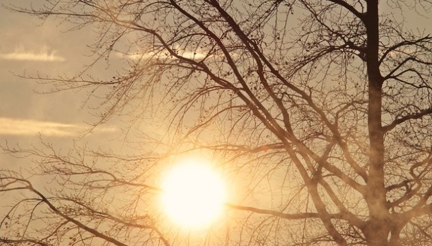 ������ ��� ����� �������� ������ � �������