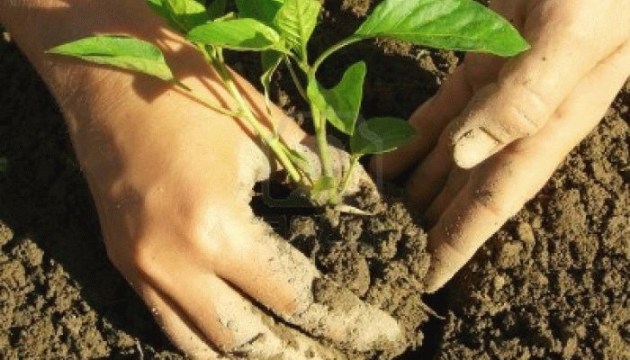 Прими участие в благоустройстве Сада ощущений!