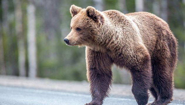 �������� �������? ������ �����������