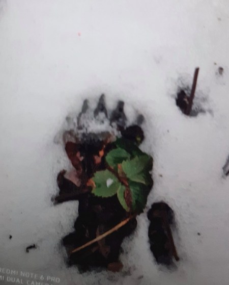 �������� �������? ������ �����������