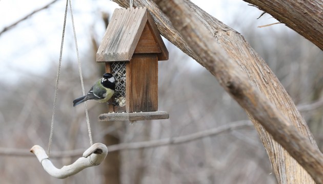 ������� ����� ��������