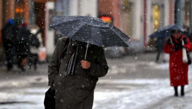 ������ � �����: ������ �� ������ �������������� �����������