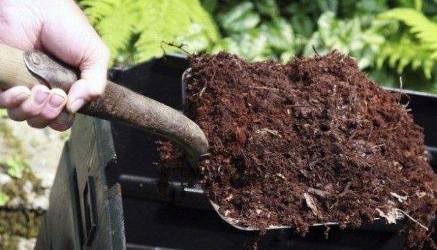 ���� �������� ������� �� ������������� ���������� ��������