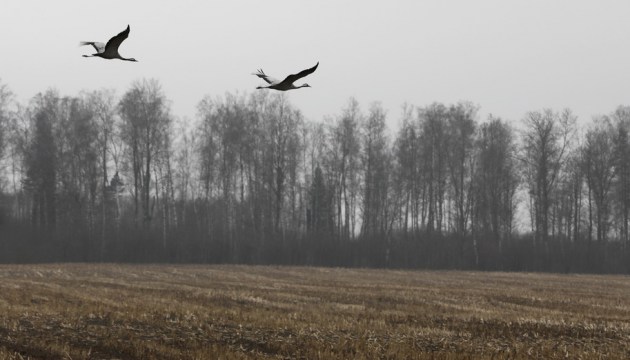 Климатические качели: в Латвии резко потеплеет, но затем заметно похолодает