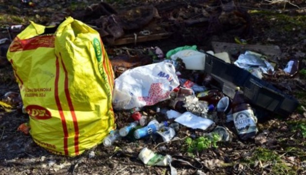 Как в Даугавпилсе пройдет Большая толока в условиях ограничений?