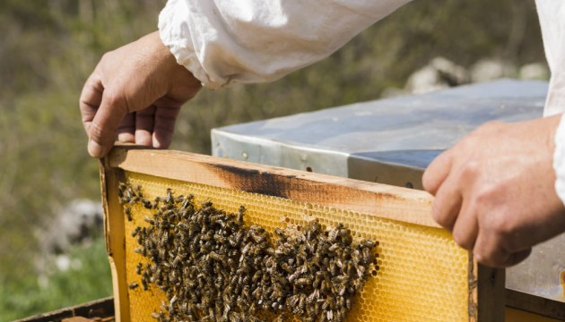 ��� 20 ����� �������� ���, ��� ����� �� ������� ���?