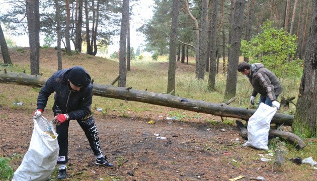 Большая толока: Инструкция для тех, кто собирается