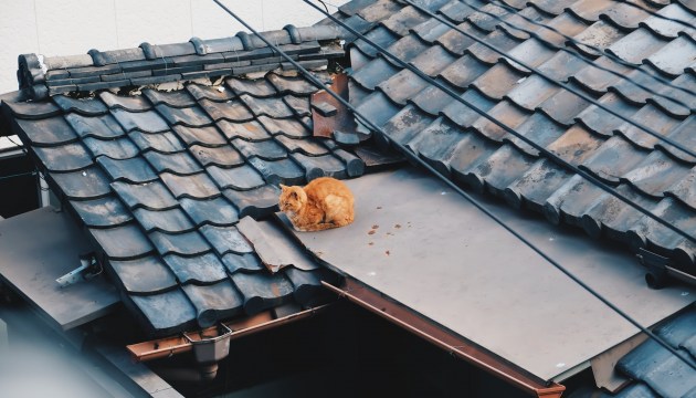 А с вашей крышей все в порядке?
