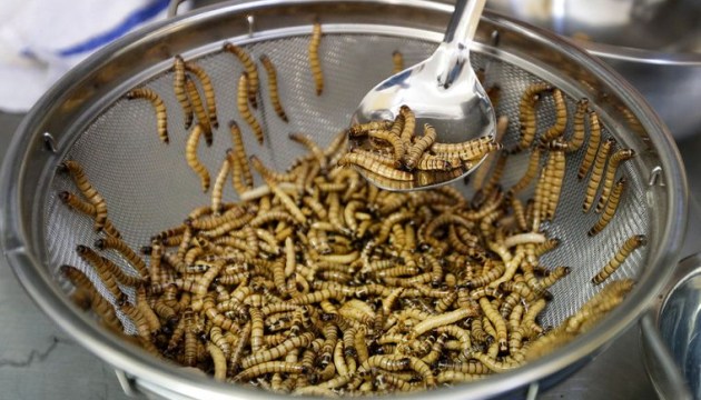 ��� ��������� ���� ������� ������ ������