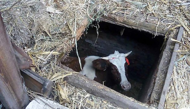 ����: �������� �����, ������ ������ � ������ �������