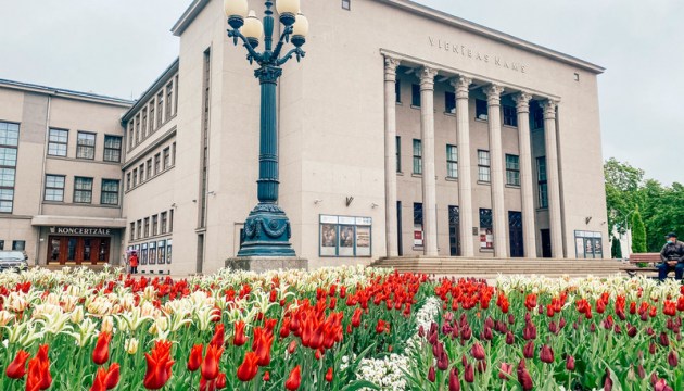 «Тюльпановая лихорадка» в Даугавпилсе