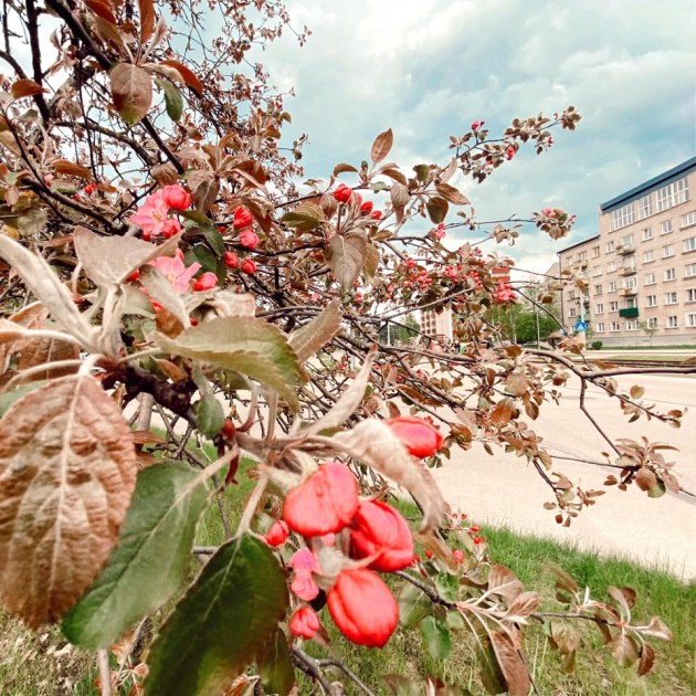 ��������� ����������, ����� ������ ���� ��� �� ����� ������