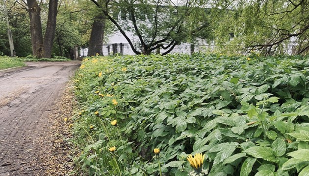 ����� ���: �� ������ ����� ����� ������� �� ������