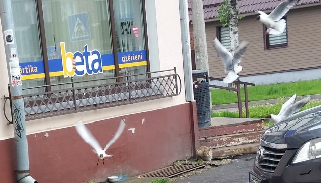 ����������� ����� �� ����� ��������