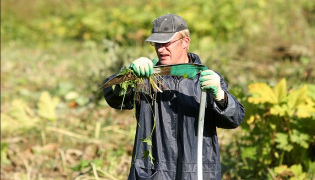 � 1 ���� ������ ����� �������� 260 ����� �������