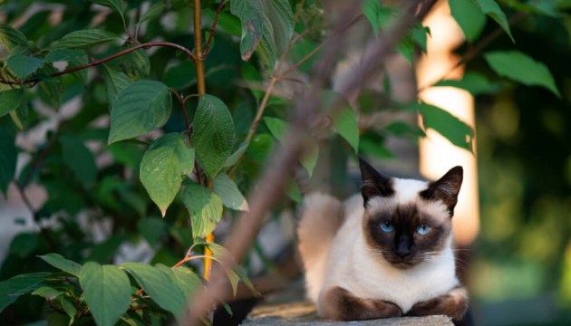 ��������� � ��������� ������ ��������� ����?