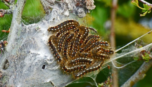 ��� �������� ���������� ���������