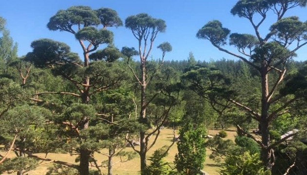 ������ ����� ������� 104 �����