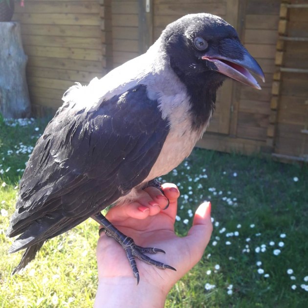 ��������� ����� �� ����� � ���������� �������� ���