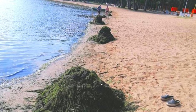 Стропское озеро возле понтона почистили от водорослей (ВИДЕО)