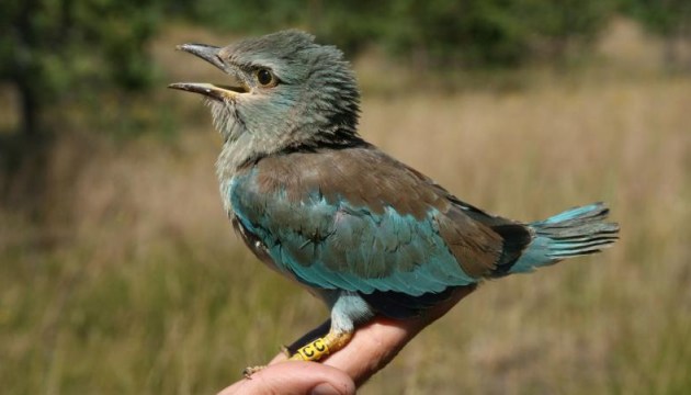 ���� ��������� �������: �� �������� � ����� ���������� �������� ������ ������� ������