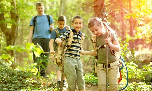 ����������� ������ ������������ ���������� ����� � ������