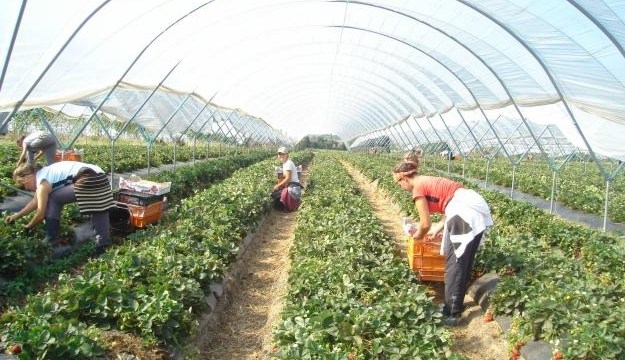 �� ������������������� - ����� ������� ������ ��������