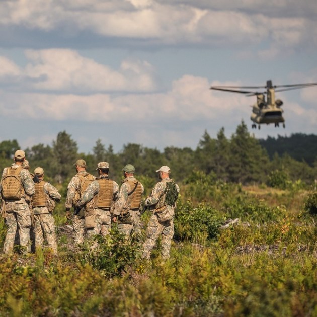 �� �������� Meža Mackeviči ���������� ���������� ������