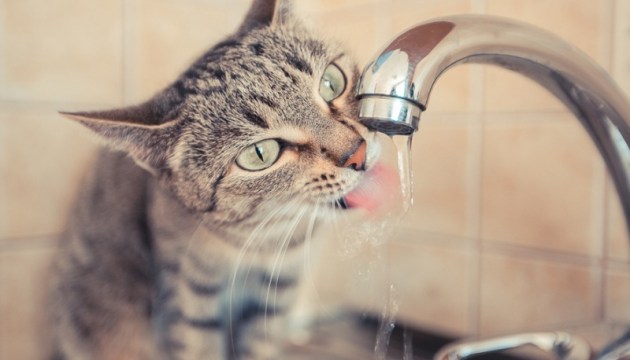 Некоторые дома в Крыжах на время останутся без горячей воды