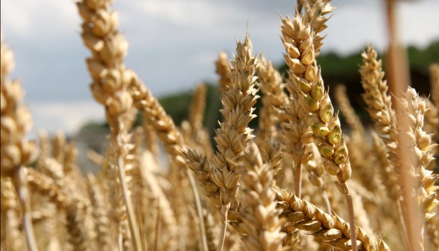 ����� 10% ������ � ������ ��� �� ������, � ����������� ��������� �� 25%