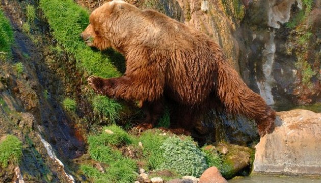 �� ������ ����� ������ ����� � ������� ���������� 72 ��������