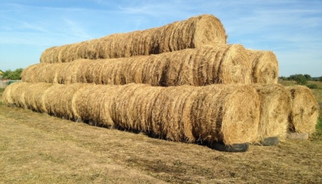 � ����������� ���� ���������� 300 ������� ����