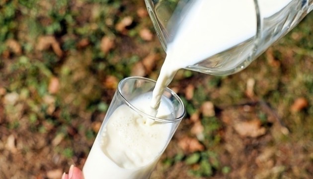 Эксперты: цены на молочные продукты будут постепенно расти